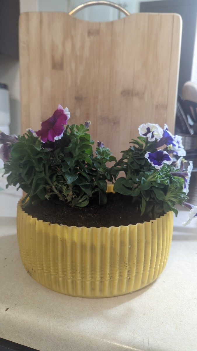 Glow-in-the-Dark Flower Pot - Perfect for Patio or Garden | eBay
