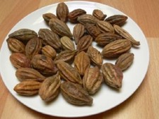 HARITAKI WHOLE, Terminalia chebula, Indian Herbs Whole, Natural 250 gm/g