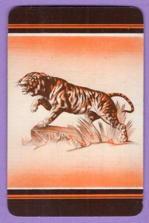 Single Swap Playing Card TIGER NICE ART WILD JUNGLE BIG CAT ANIMAL DECO VINTAGE