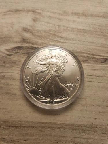 2023 American Silver Eagle 1 Troy Oz. .999 Fine One Dollar Coin