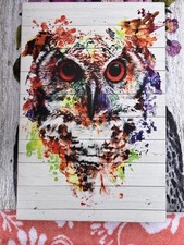 Owl Framed Wall Art Poster Canvas Print Picture12x8