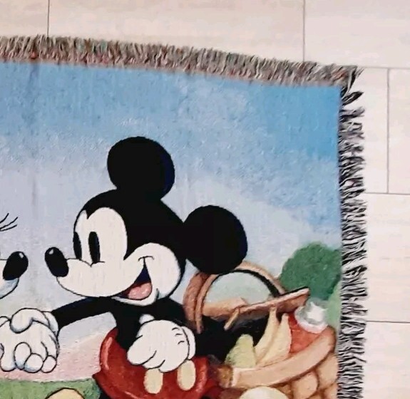 Walt Disney World Mickey and Minnie Mouse Spring Picnic