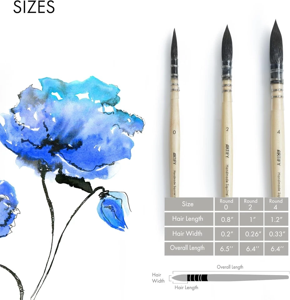 ARTIFY 3 PEÇAS Pincéis de aquarela profissionais naturais para cabelo de esquilo #0, #2, #4 - Imagem 3 de 4