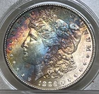 1886 Morgan Silver Dollar Beautiful Obverse Rainbow Toned Rattler PCGS MS63