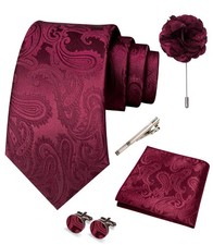 Men's Paisley Tie Set with Pocket Square, Lapel Pin, Cufflinks  Tie Clip - 5PCS