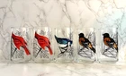 Vintage Anchor Hocking Woodland Songbird Bird Drinking Glasses -- Set Of 5