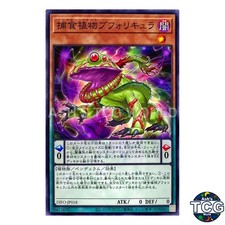 Predaplant Bufolicula N DIFO-JP018 DIMENSION FORCE Yu-Gi-Oh! Japanese