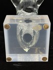 Foto 10 di 10