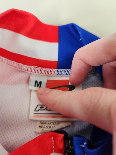 Men Pace Lake Tahoe USA Bike Cycling Jersey Sz Med Zip América Beautiful Ride - Picture 8 of 13