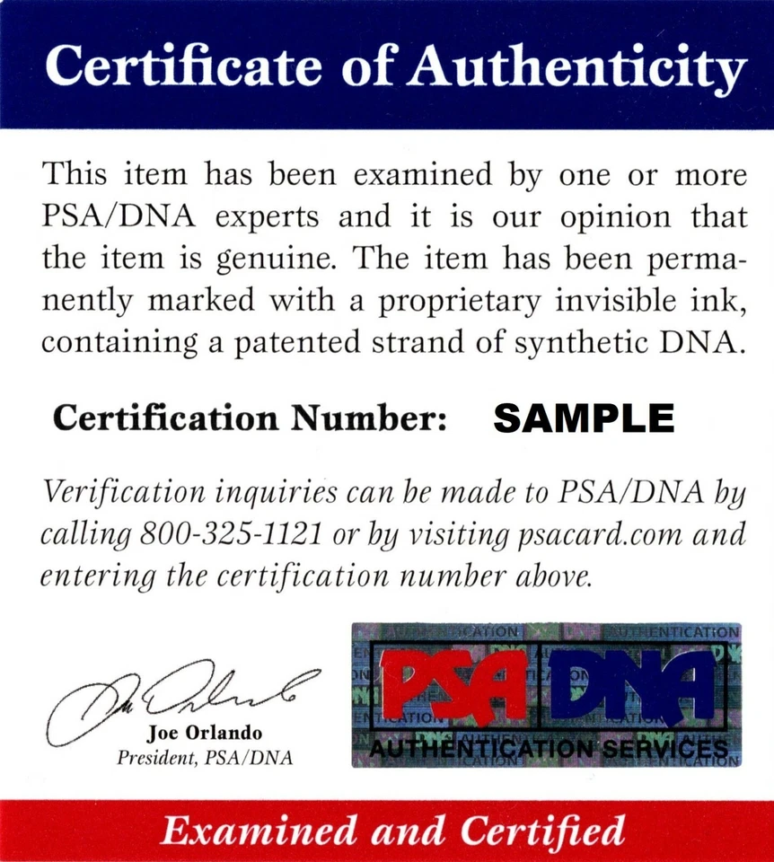 Billy Donovan Signed Florida Gators 8x10 inch Photo 2x Champs * NBA HOF PSA/DNA - Image 2 of 2