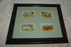 4 Dwight's Soda Bird Dog Cards Framed English & Irish Setters/Clumber/Pointer