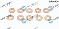 Dr.Motor Automotive DRMP06 WäRmeschutzscheibe, Einspritzanlage For Dacia Fiat ME