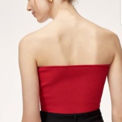 Aritzia スリムフィット ボタンアップ ベスト Aritzia スリムフィット ボタンアップ ベスト Streamline Top