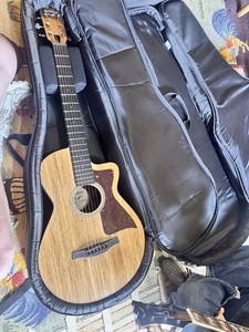 Blackbird Guitar | eBay