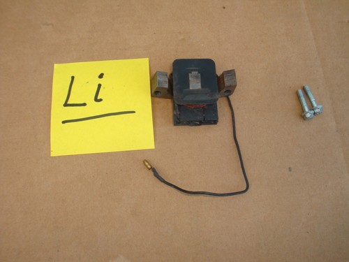 Rasentraktor Aufsitzmäher Lichtmaschine Motor Family SV200 CASTELGARDEN - Stiga