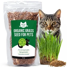 Organic Cat Grass Seeds for Indoor Cats - Non-GMO, 8 ozt