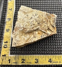 Chicken Scratch Jasper Rough Rock Slab Material w/ Track Patterns 3.5"