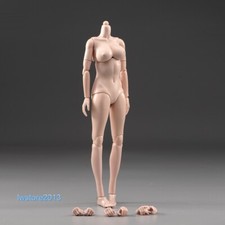 US 1/6 Pale Skin Large Breast Bust Girl 12" Female Action Figure Body Hands Toys