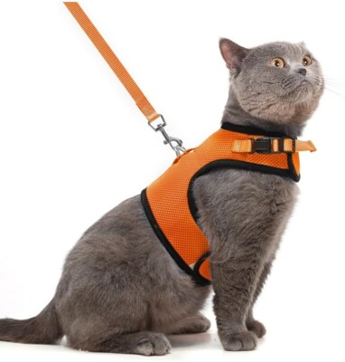 pupteck soft mechcat vest harness and leash set puppy
