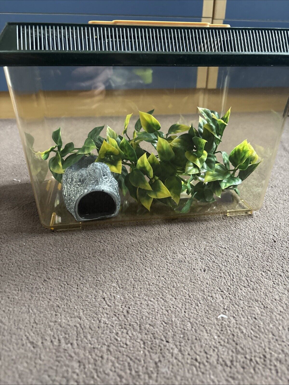 Picture 1 of 10