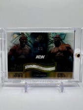 2025 SP Game Used AEW Lashley Benjamin 1/2 Rope Relic Match-Used Memorabilia