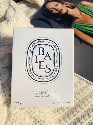 DIPTYQUE BAIES / BERRIES Scented Candle 190g BNIB Christmas Gift
