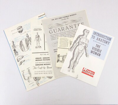 Vintage Visible Woman Anatomy Plastic Model Kit by Renwal 1960