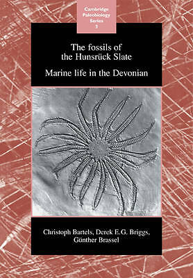 The Fossils of the Hunsrück Slate Marine Life in the Devonian Bartels Briggs
