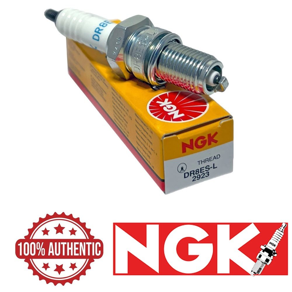 HONDA TRX300EX TRX200D TRX250X TRX125 TRX250 TRX350 XR200 NGK SPARK PLUG DR8ES-L