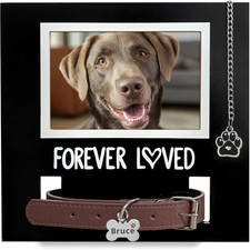 Dog/Cat Collar Memorial Frame with Paw Print Charm,Pet Loss Sympathy Gift,Pets M