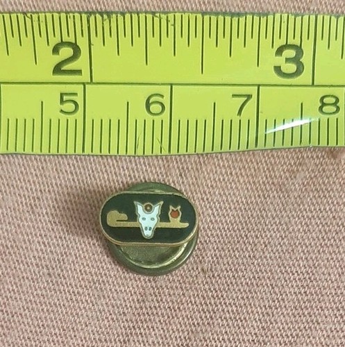 Vintage Order Of The Sciots Egyptian Masonic Screwback Lapel Pin Screw Back