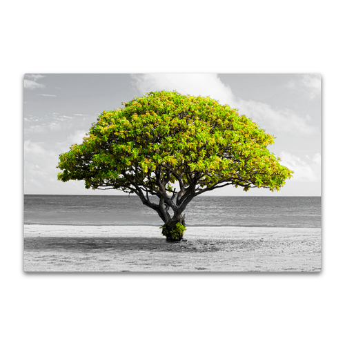 Großer Baum am Strand grüne Blätter schwarz weiß Natur Wandbild Giclée Leinwandbild - Bild 2 von 3