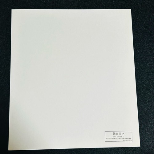 Tokyo Boogie Night Gewinnerstück Rei Ayanami Megumi Hayashibara handsigniert A25 - Bild 6 von 6