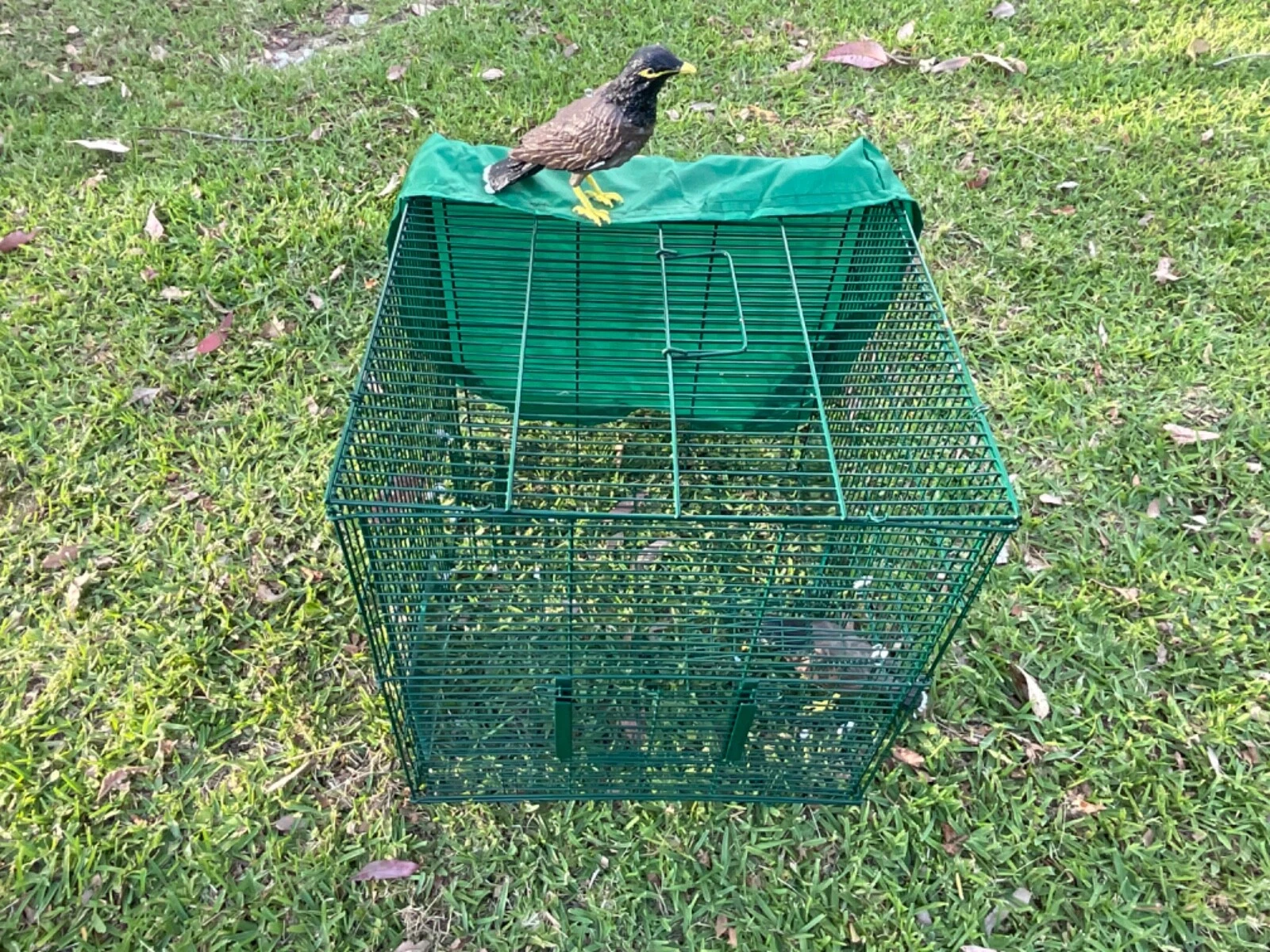 Picture 18 of 24