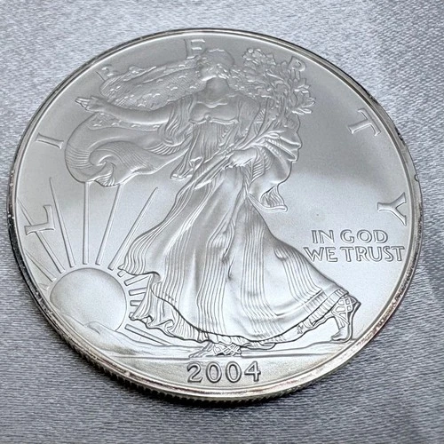 2004 American Silver Eagle 1 oz .999 Fine Silver BU Toned [H8]