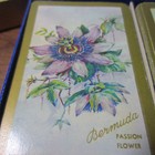 Picture 3 of 6