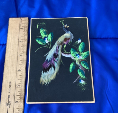 Vintage 4 by 6 inch Feather Art Peacock w/Painted Accents - Pre-owned