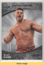 2021 Upper Deck AEW Spectrum Brian Cage #77 READ jg2