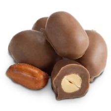 Albanese Milk Chocolate Extra Large Double Dipped Peanuts  Choose Size Free Ship
