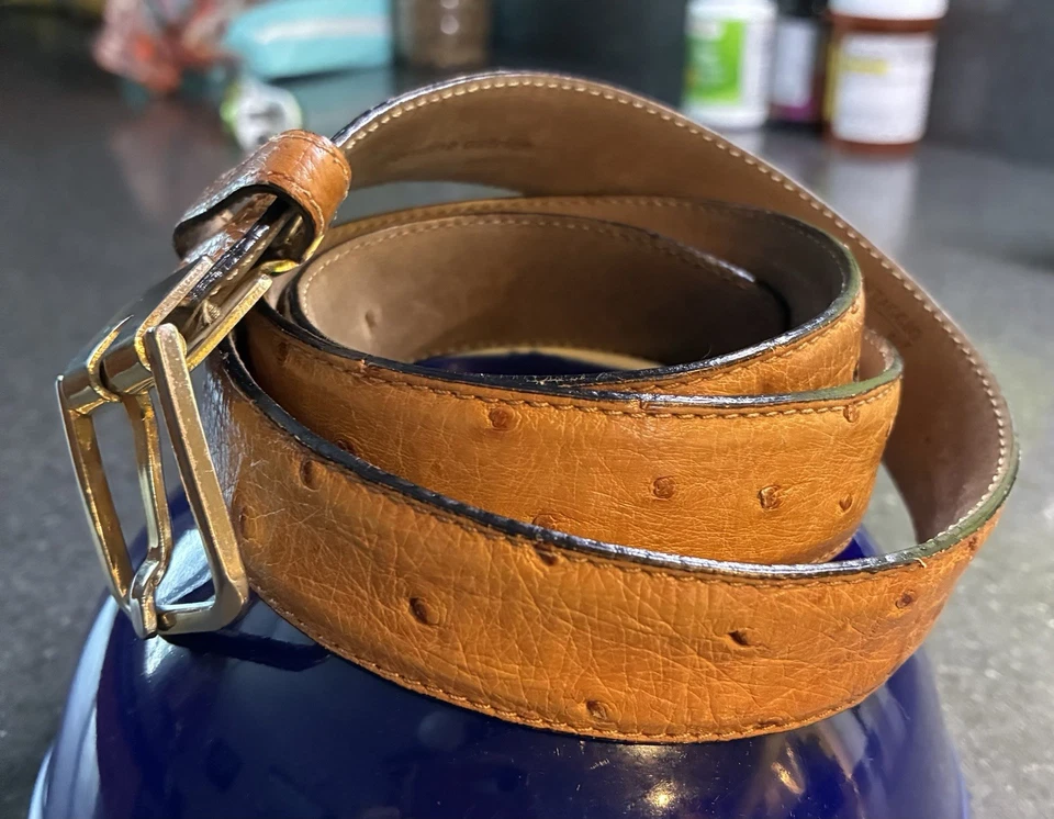 "Cinturón de vestir de avestruz real pluma completa para cintura de 34""" Foto 2 de 4