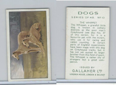 G12-81 Gallaher Tobacco, Dogs, 1936, #10 Whippet