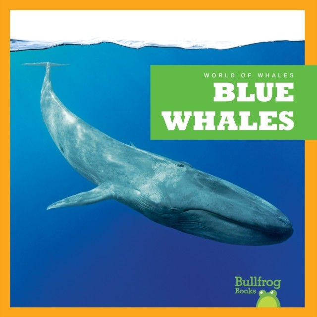 Blue Whales by Eliza Leahy HARDBACK 9798885245890
