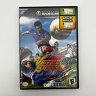 Virtua Striker 2002 Nintendo GameCube SEGA Authentic Tested No Manual