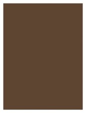Construction Paper Dark Brown 9x12 Inch 100 Sheets Art Craft Supply