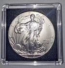 2014 American Eagle,  UNC MS, 0.999 Fine Silver 1 Oz Dollar, FREE SHIPPING