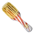 Torino Pro Wave Brush #263-7 Row Medium bristles Shower Brush -100% Extra Lon...