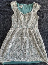 Ivy & Blu Maggy Boutique Fit & Flare Dress Size 2P Petite Lace Sleeveless lined