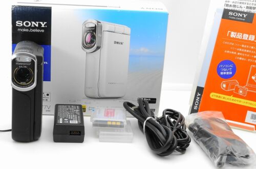 Japanese Display SONY HDR-GW77V Digital HD Video Camera Digicam Handycam 47