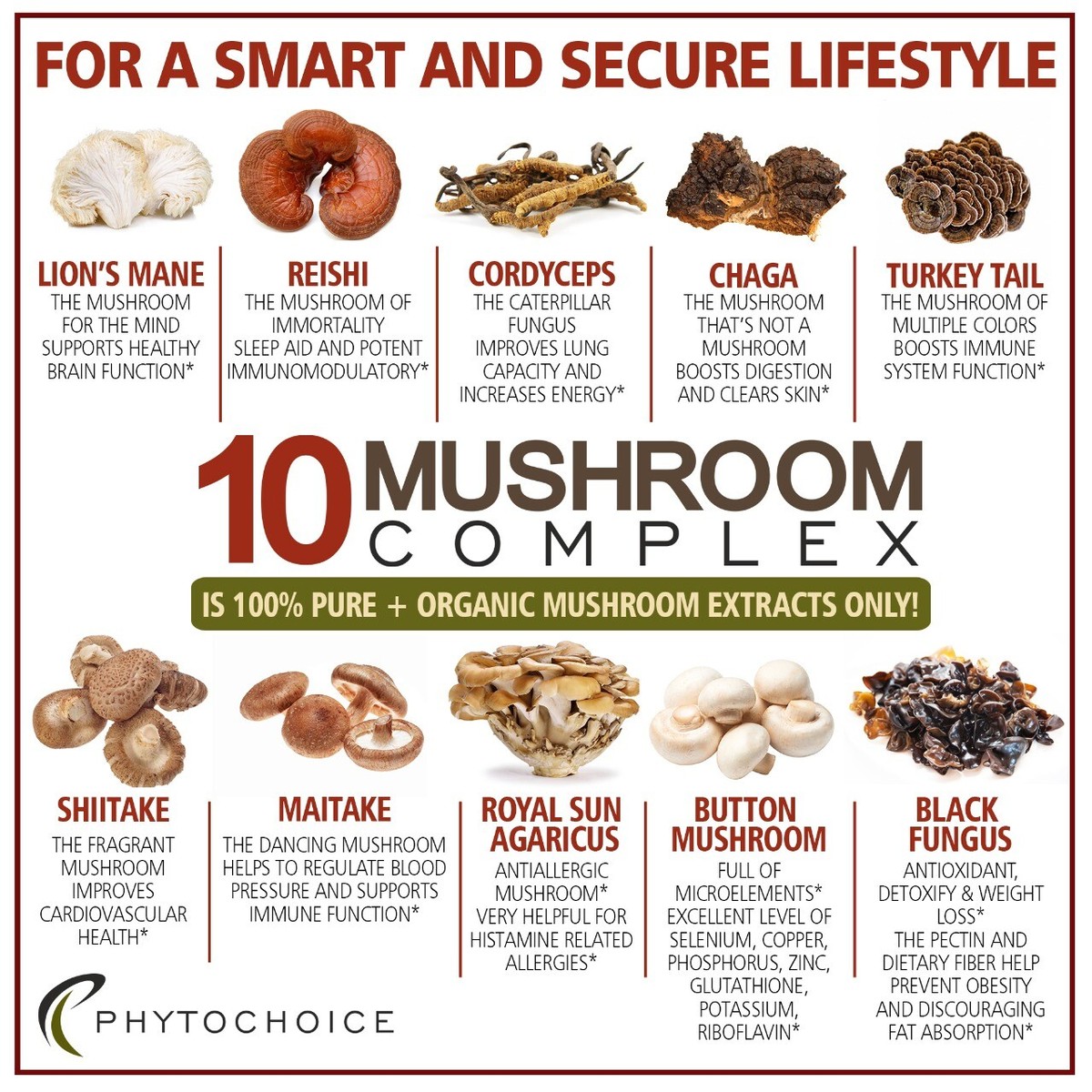 is iv glutathione safe Defense10 Mushroom Complex Supplements Immune Support Lions Mane Reishi  Maitake