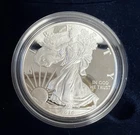 2016 W American Eagle One Ounce Silver Uncirculated Coin